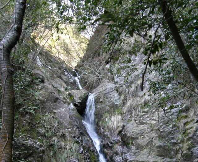 IMG_3207Upper