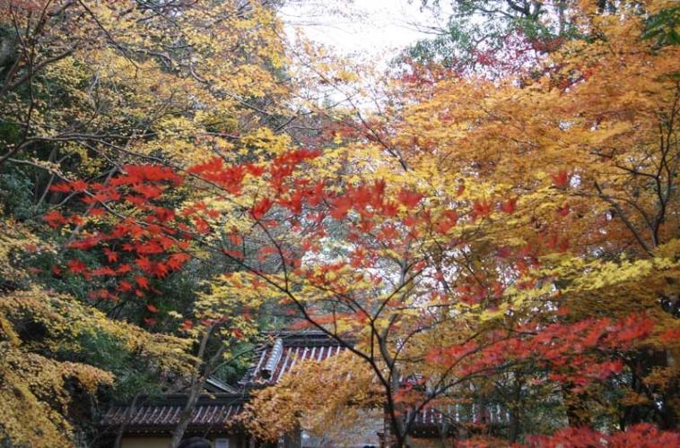永源寺1070wb.jpg