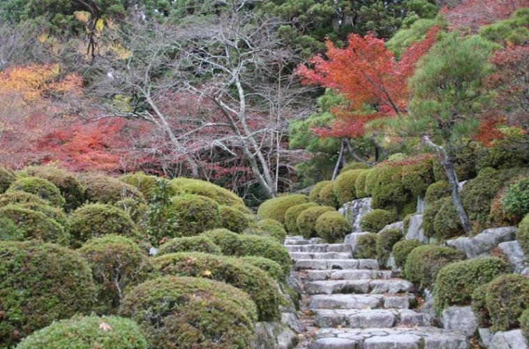 百済寺1094wb.jpg