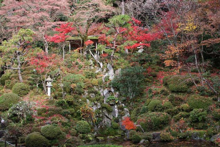 金剛輪寺1139wb.jpg