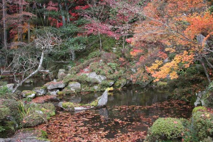 金剛輪寺1149wb.jpg