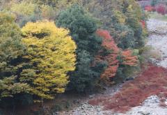 Image00001.jpg