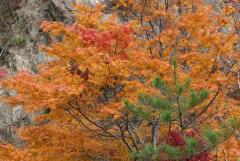 Image00002.jpg