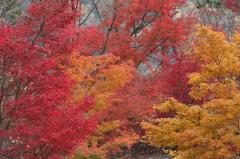 Image00004.jpg