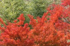 Image00005.jpg