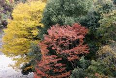 Image00006.jpg