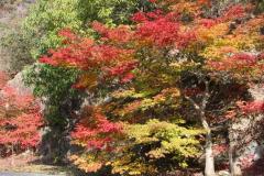 Image00009.jpg