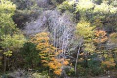 Image00012.jpg
