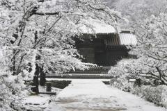 Image00001wb.jpg