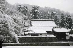 Image00011wb.jpg