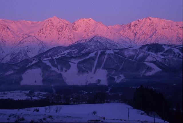 Image22B.jpg