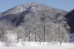 Image00009