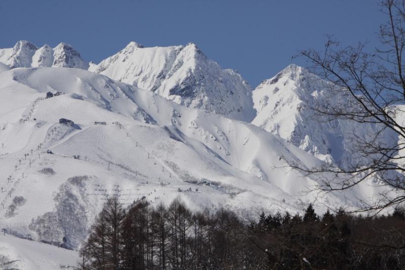 Image00013