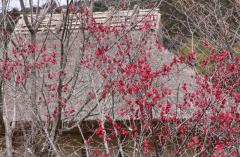 Image00004