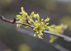 Image00010