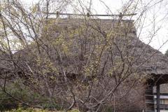 Image00011