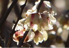 IMG_0014B