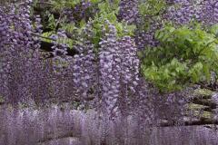IMG_3359P
