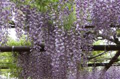 IMG_3360P