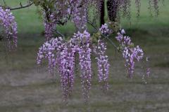 IMG_3362P
