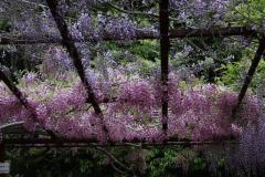 IMG_7773P