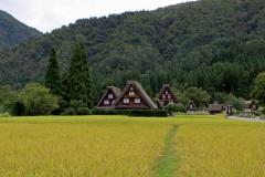 Image00011