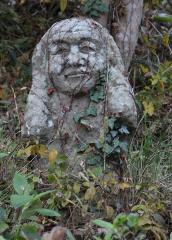 IMG_2982wb