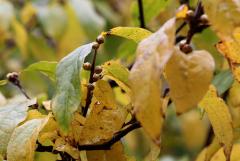 IMG_3007wb