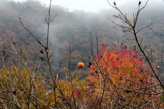 IMG_2999wb