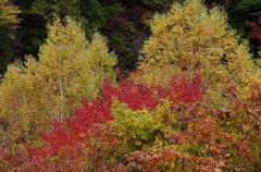 IMG_3051wb