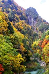 IMG_4499wb