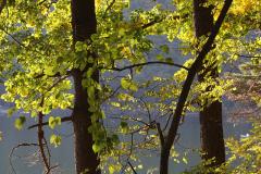 IMG_4676wb