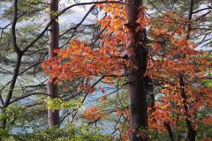 IMG_4678wb