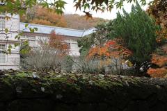 IMG_3052wb