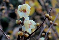 IMG_3224Awb