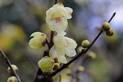 IMG_3266wb