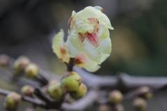 IMG_3267Awb