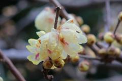 IMG_3268Awb