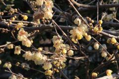 IMG_3280wb