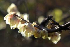 IMG_3302wb