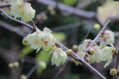 IMG_3270Awb