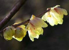 IMG_3304Bwb