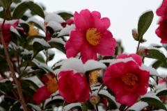 IMG_3362Awb