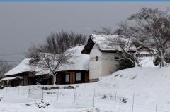 IMG_3387Awb