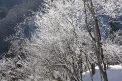IMG_9598wb