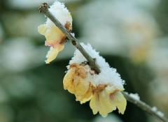 IMG_3339Awb