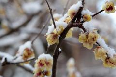IMG_3340Awb
