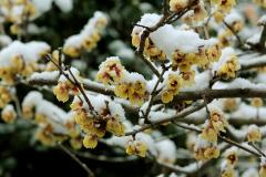 IMG_3343wb