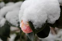 IMG_3347Awb