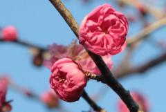 IMG_3438Bwb